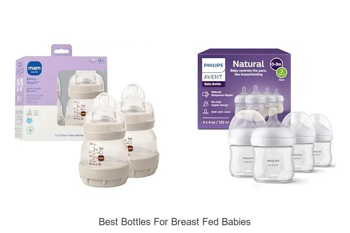 Best Bottles For Breast Fed Babies That Moms Swear By