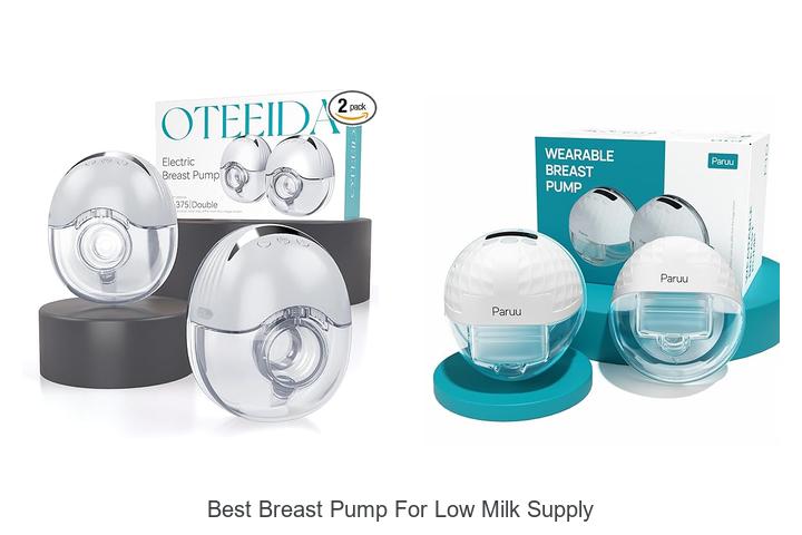 Cool Best Breast Pump For Low Milk Supply Photos