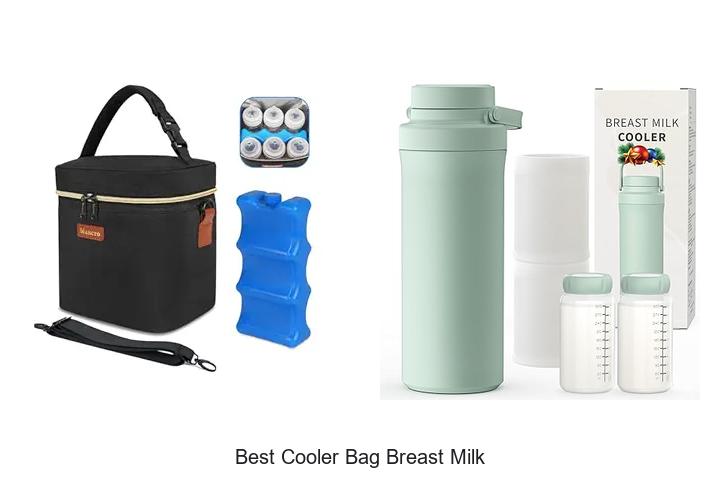 Best Cooler Bag Breast Milk Moms Swear By Revealed!