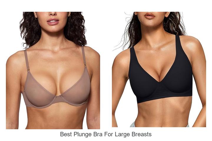 Best Plunge Bra For Large Breasts That Will Amaze You